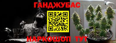 гашик Волжск