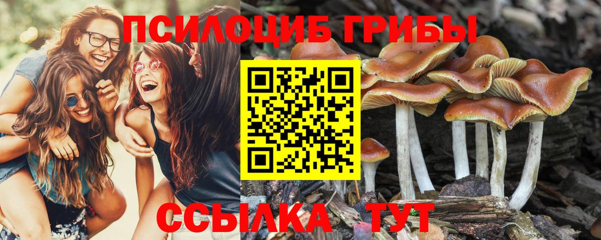 Псилоцибиновые грибы GOLDEN TEACHER  Галлюциногенные грибы MAGIC MUSHROOMS  Вход с VPN  наркота  Домодедово 